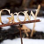 Grow, by Susy Morris, via Flickr.com